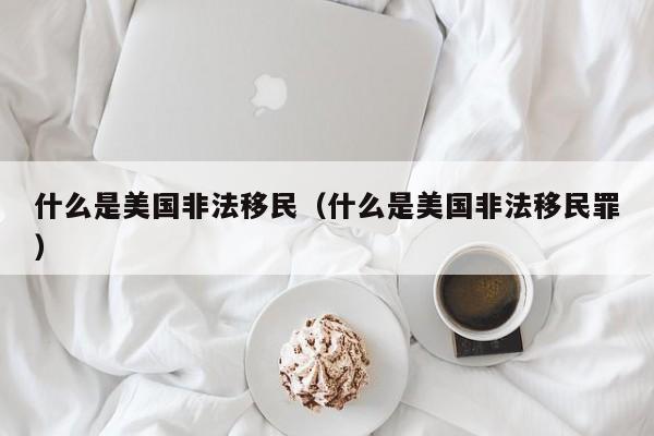 什么是美国非法移民（什么是美国非法移民罪）