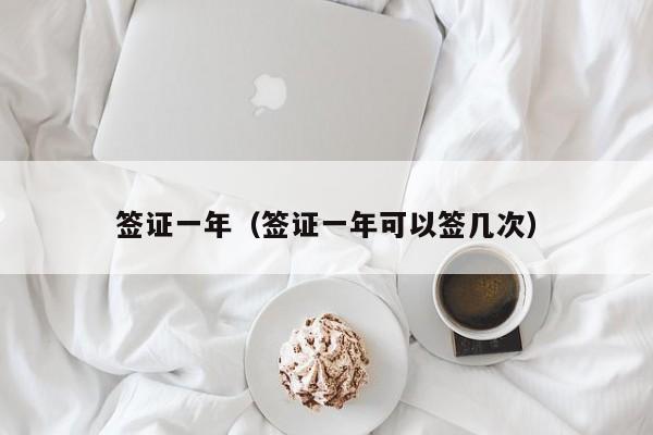 签证一年（签证一年可以签几次）