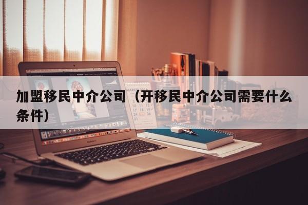 加盟移民中介公司（开移民中介公司需要什么条件）