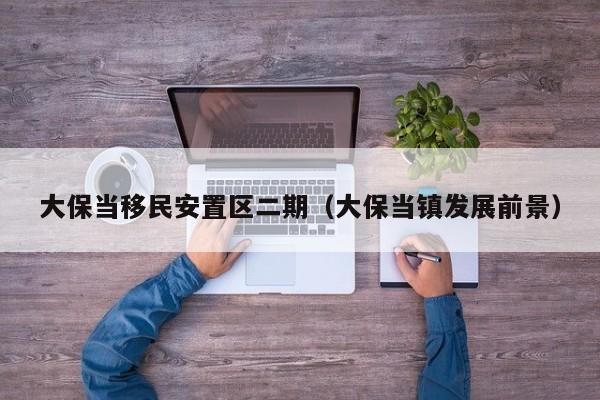 大保当移民安置区二期（大保当镇发展前景）