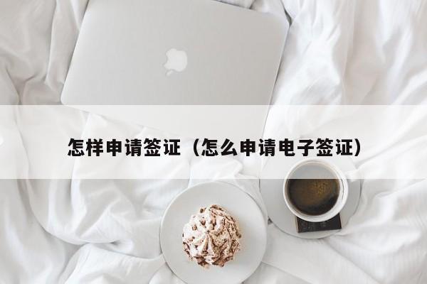 怎样申请签证（怎么申请电子签证）