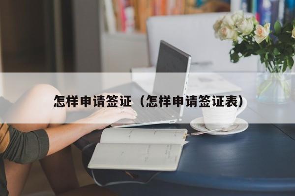 怎样申请签证（怎样申请签证表）