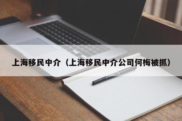 上海移民中介（上海移民中介公司何梅被抓）