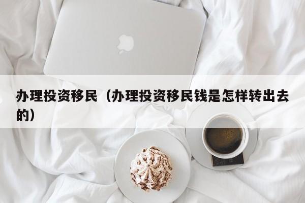 办理投资移民（办理投资移民钱是怎样转出去的）