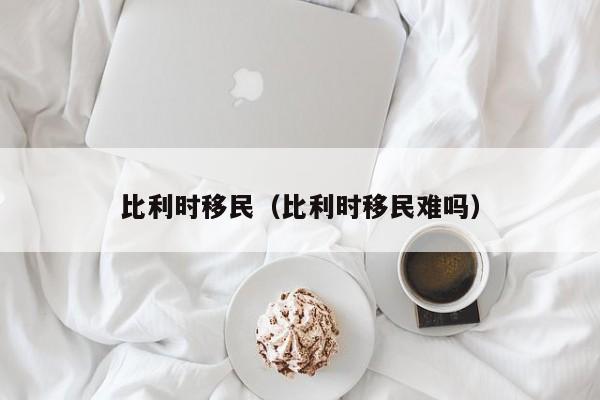 比利时移民（比利时移民难吗）